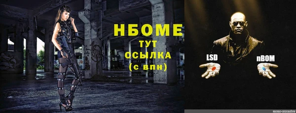 PSILOCYBIN Елабуга