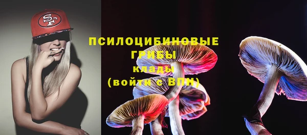 гидропоника Елизово