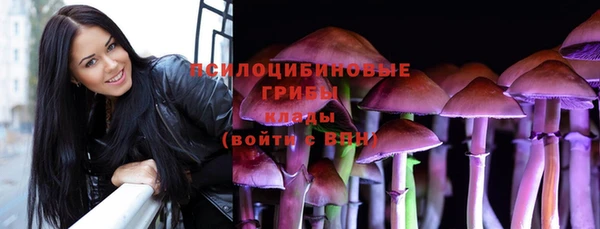 PSILOCYBIN Елабуга