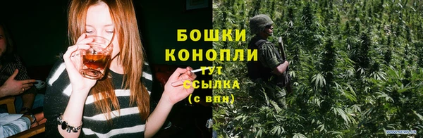 PSILOCYBIN Елабуга