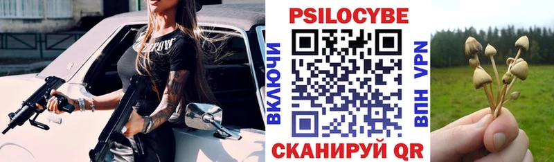 Псилоцибиновые грибы прущие грибы  цена наркотик  Калтан 